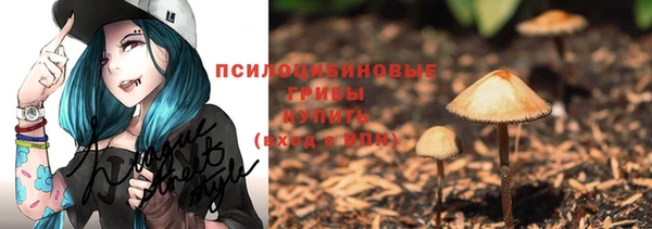 дмт Арсеньев