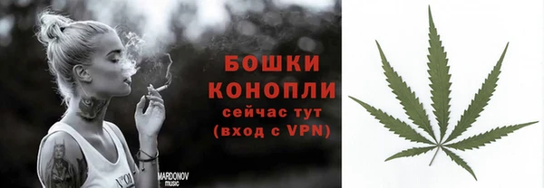 дмт Арсеньев