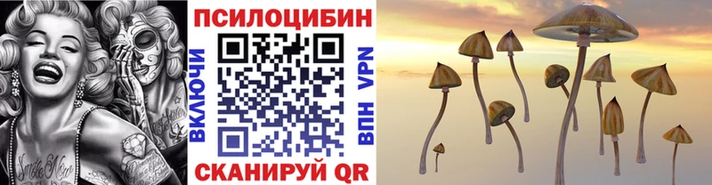 как найти   Северобайкальск  Псилоцибиновые грибы Magic Shrooms 